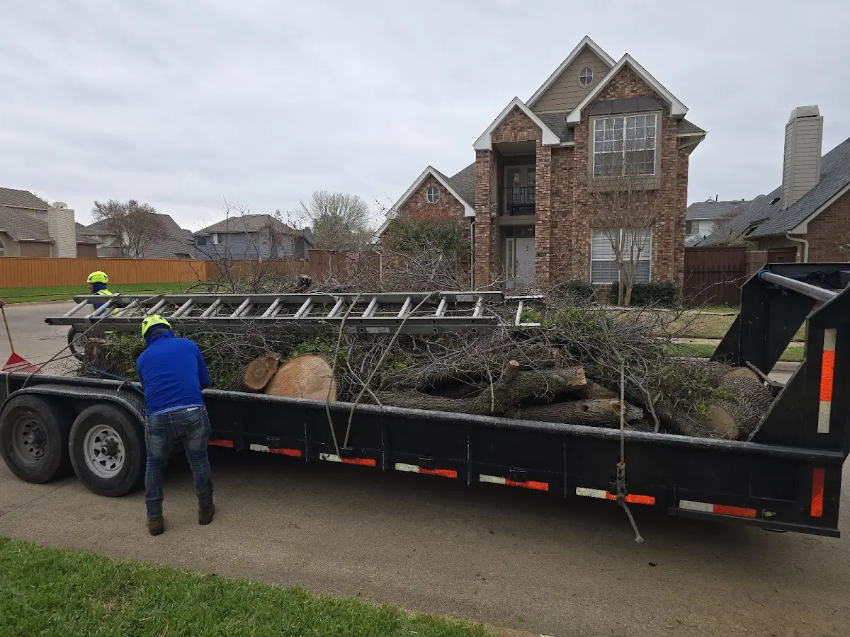 Expert Tree Fertilization with proper safety equipment in Stanwood
